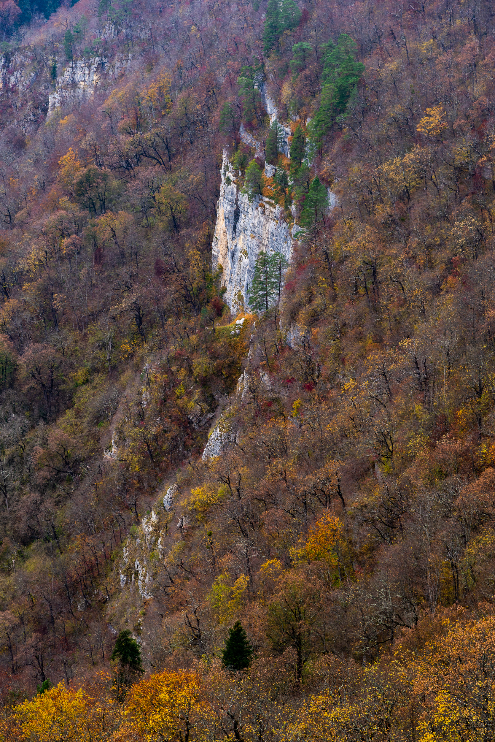 [November 2020] Mezmay - My, The mountains, Mountain tourism, Caucasus, The photo, Beginning photographer, Landscape, Nature, Fog, , Forest, Longpost