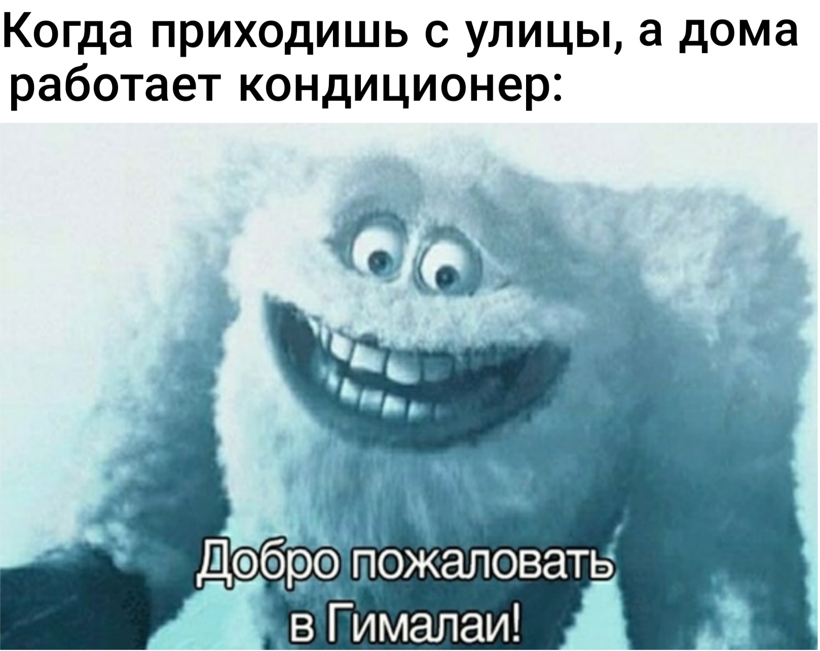 Главней всего погода в доме... - Моё, Мемы, Юмор, Жара, Кондиционер, Гималаи