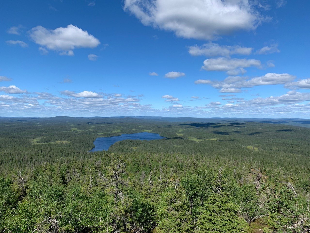 A trip to the NP Paanajarvi, Karelia (final part - Mount Kivakka) - My, National park, North Karelia, Fishing, Longpost