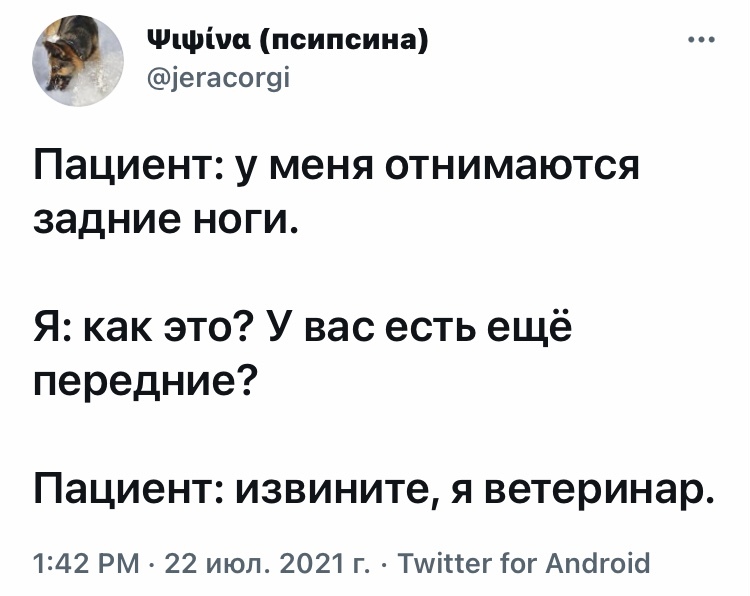 Профдеформация - Юмор, Скриншот, Twitter, Медицина, Ветеринар