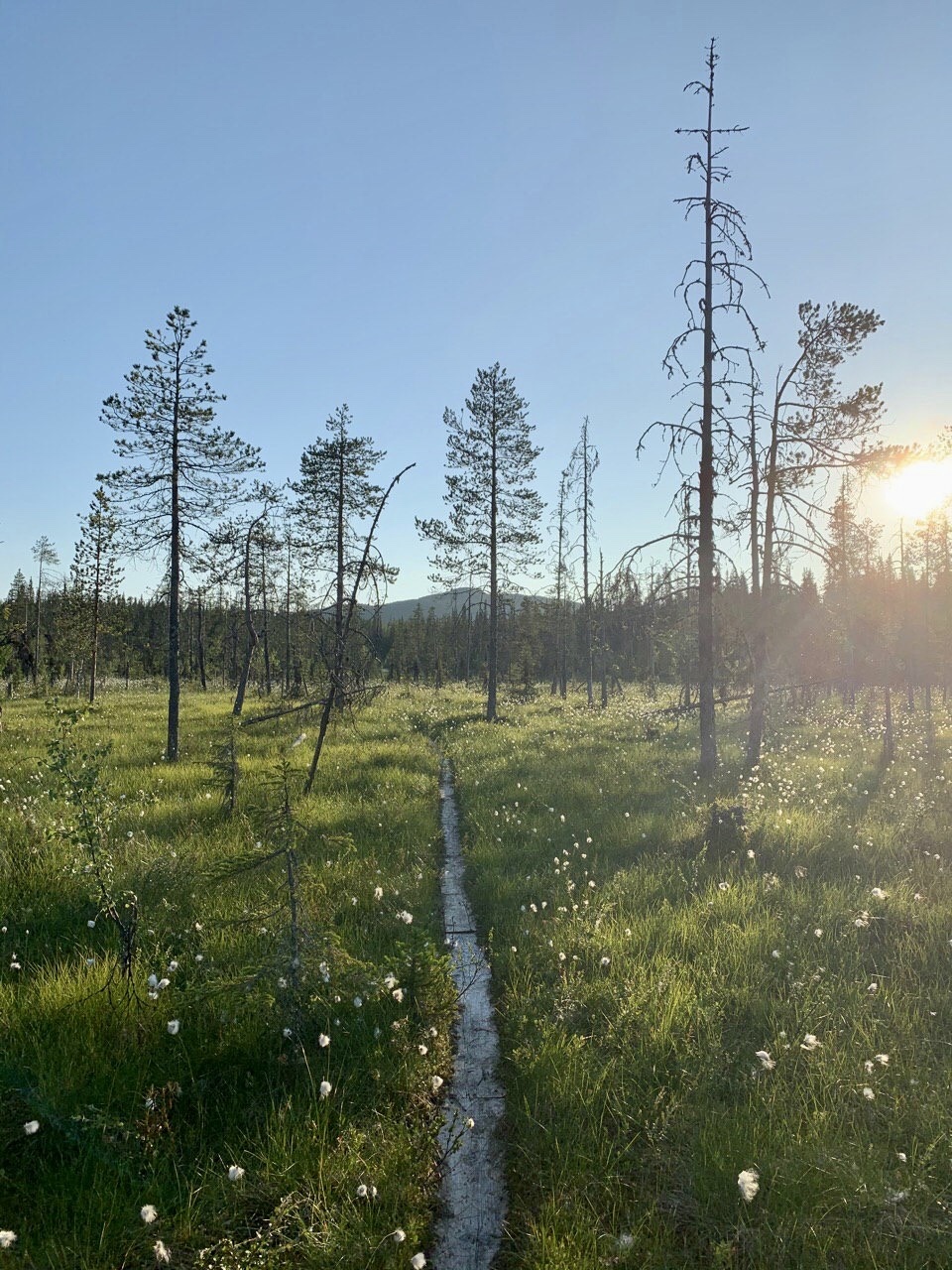 Trip to Paanajarvi NP, Karelia (part 3 - Mount Nuuronen) - My, National park, North Karelia, The mountains, Longpost