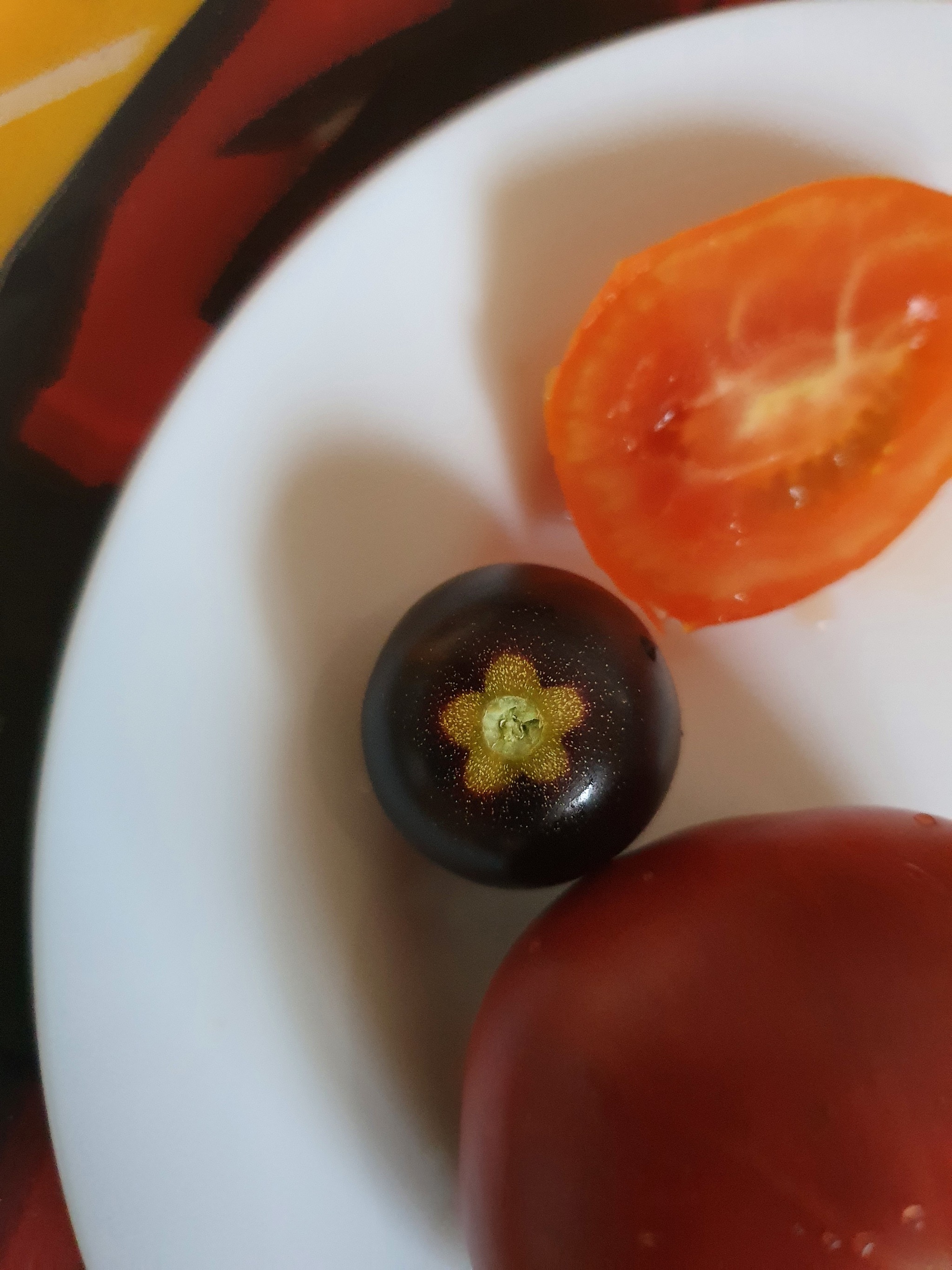 With an initiative (my first tomatoes) - My, Tomatoes, Garden, Insects, Longpost