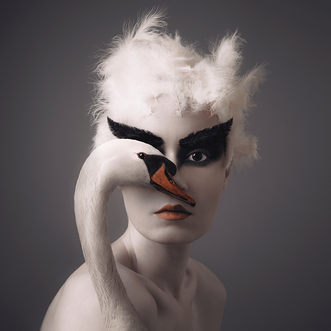 animal eyes photo manipulation ideas