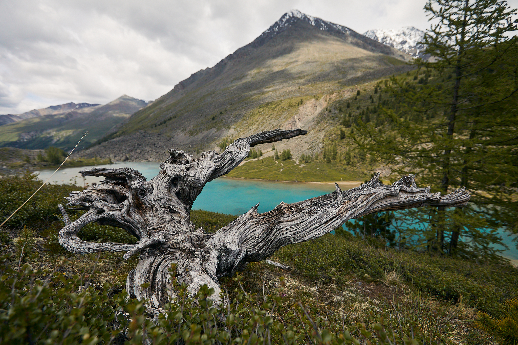 marching - My, Altai, Mountain Altai, The mountains, Nature, Photographer, Landscape, Travels, Longpost, Altai Republic