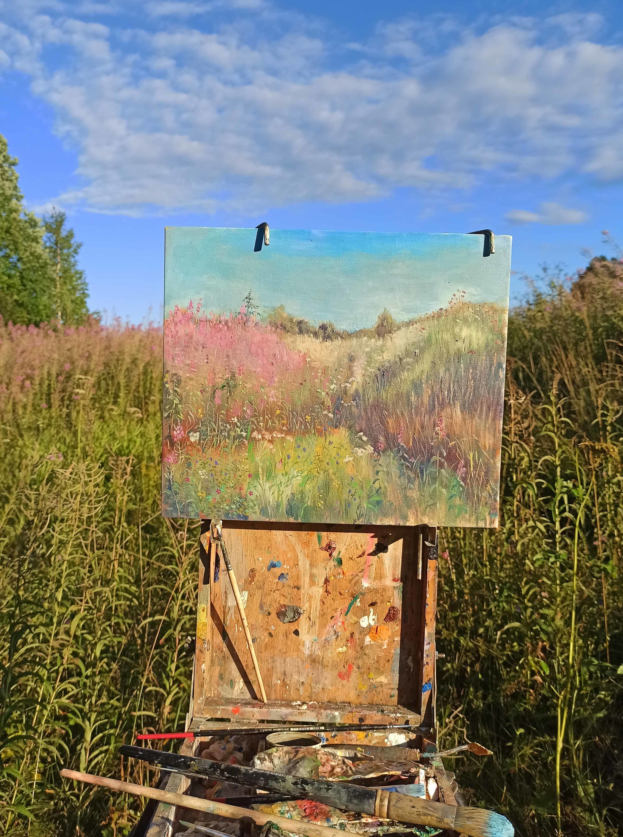 Field trails (oil on canvas, 4045) - My, Painting, Plein air, Summer, Oil painting, Village, Field, Grass