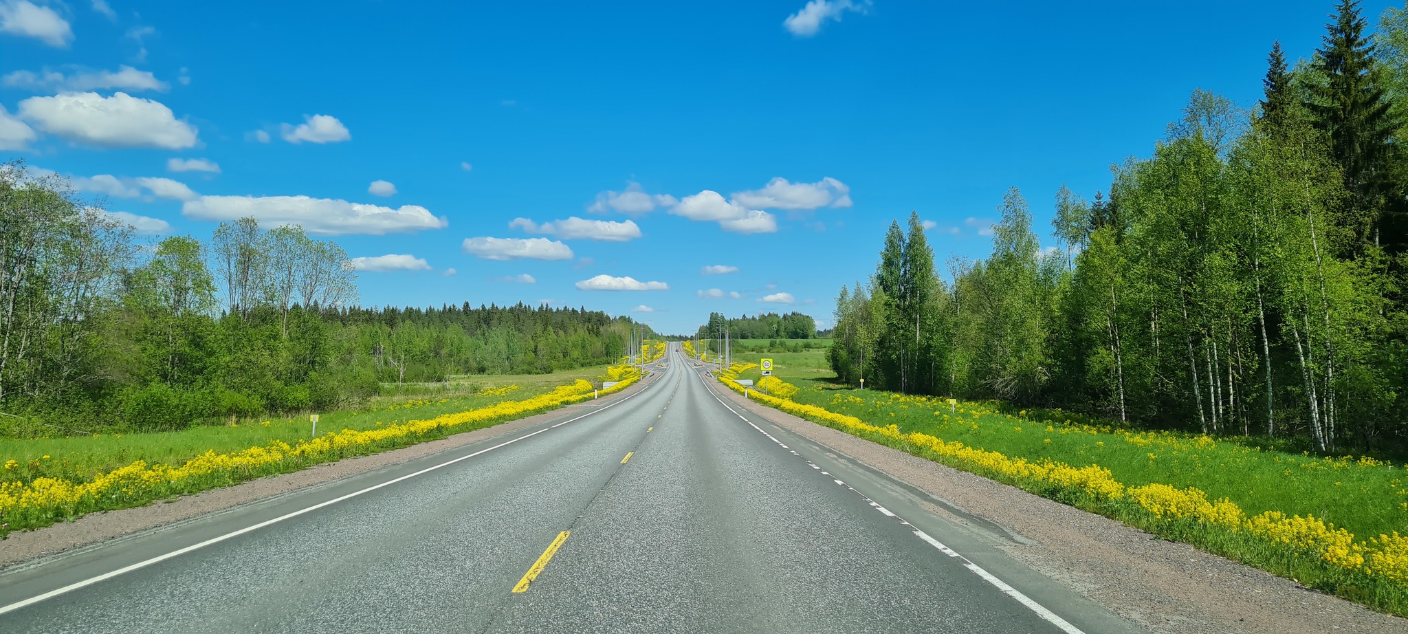 Karelia in summer - My, Landscape, Mobile photography, Карелия