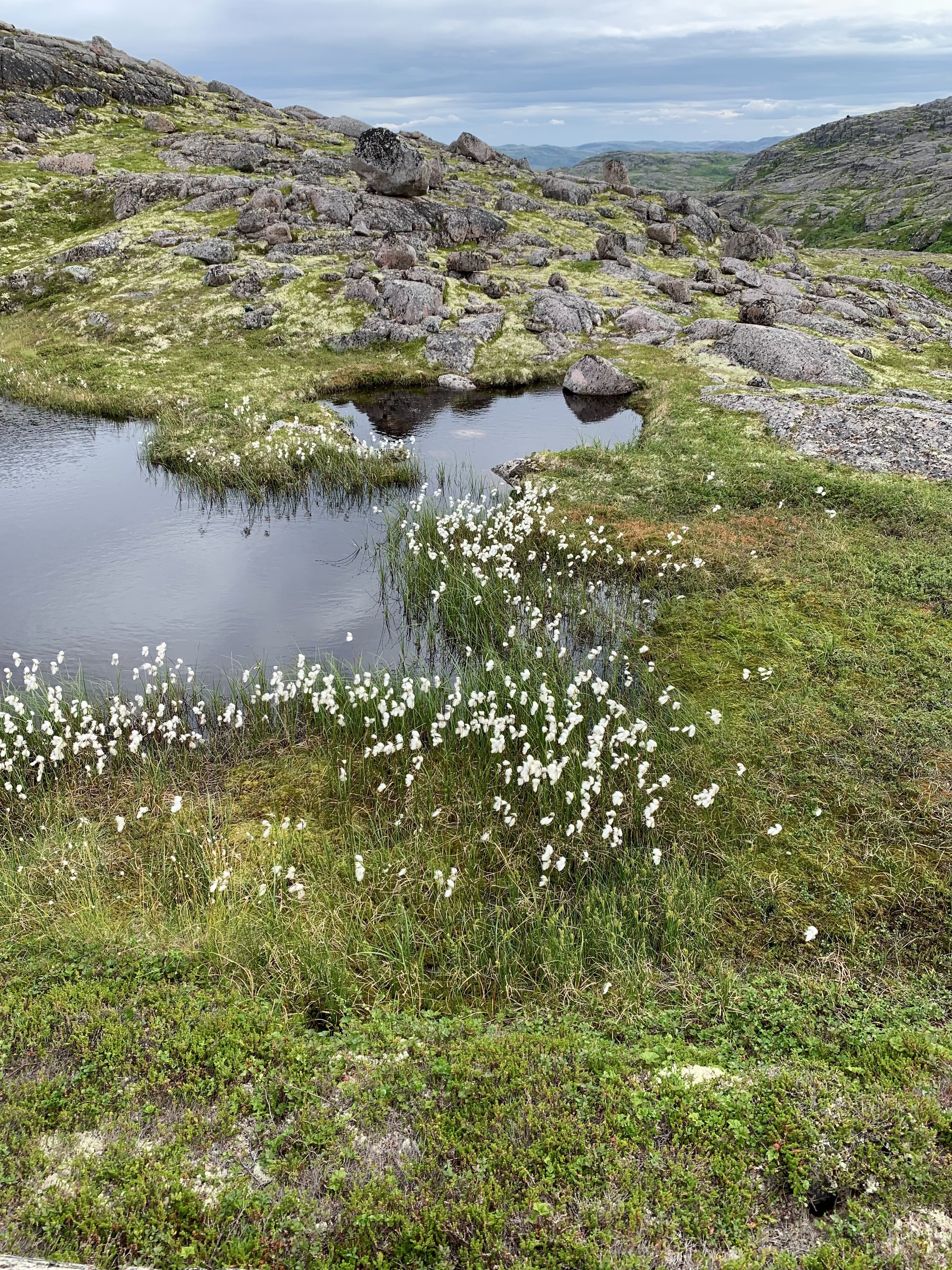 Russian North Kola Peninsula. - My, Teriberka, Kola Peninsula, Murmansk region, Ship Cemetery, Longpost, The photo