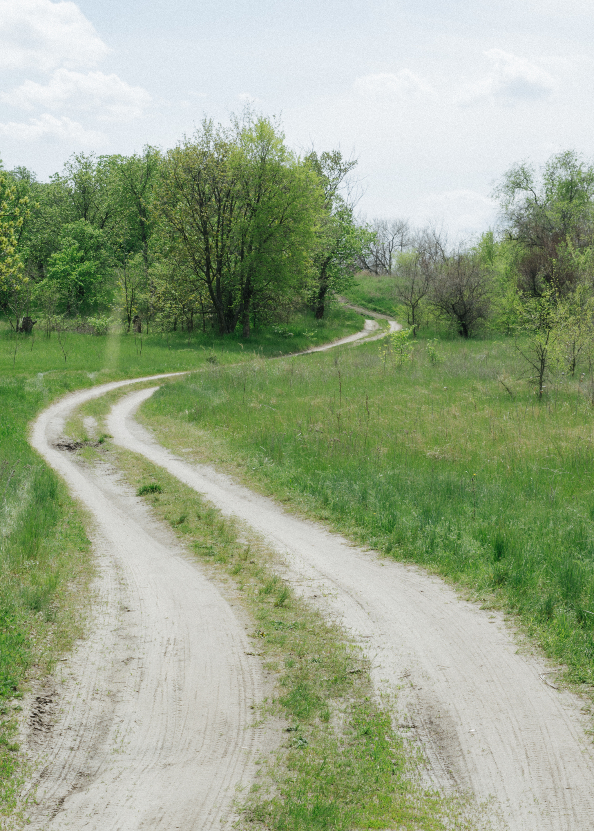 Rural landscape - My, Nature, The photo