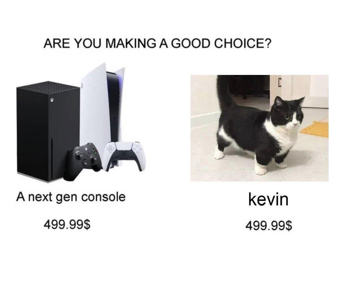 I think the choice is clear - cat, Playstation 5, Xbox series x, Munchkin