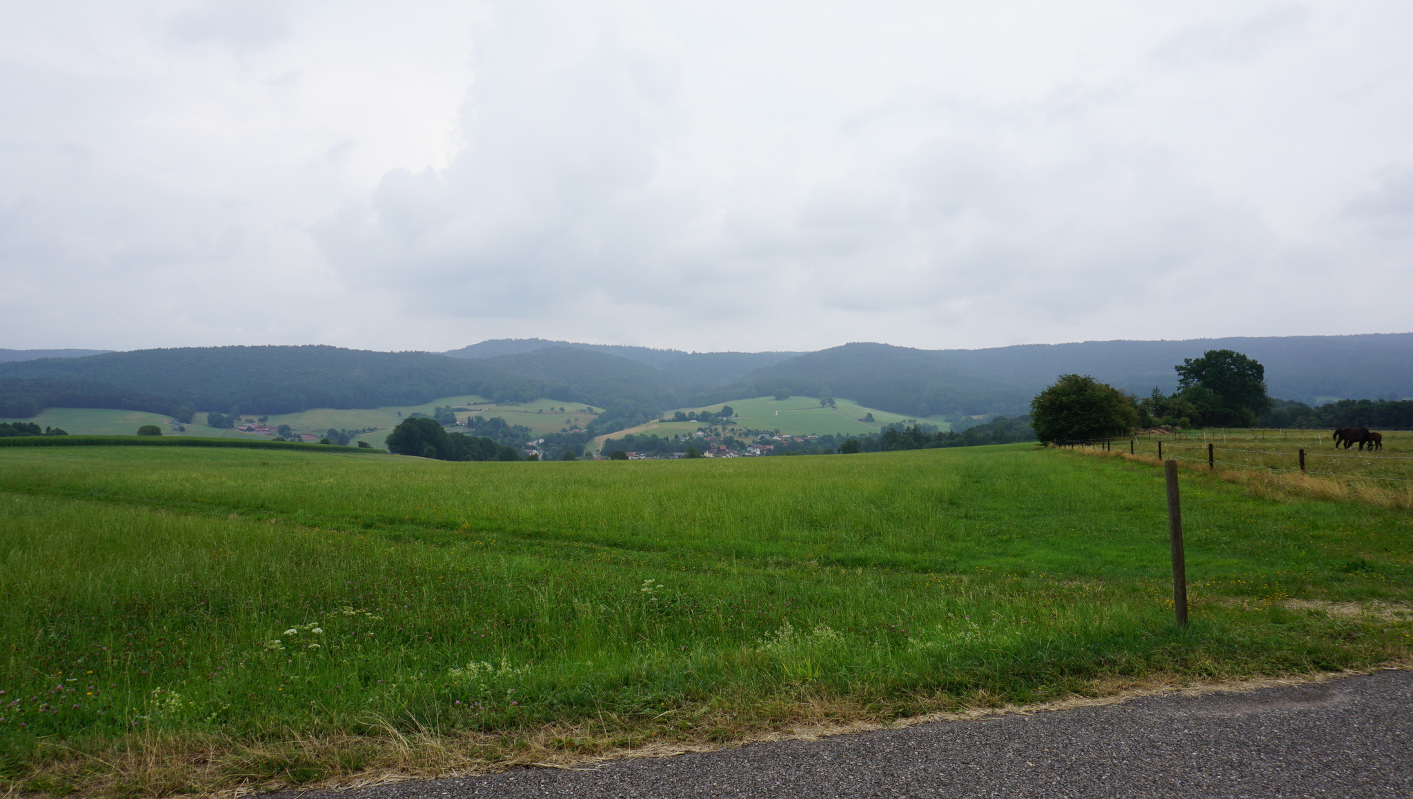 Odenwald Hills, Hesse, Germany - My, The photo, The hills, Summer, Germany, Lake, Landscape, Longpost