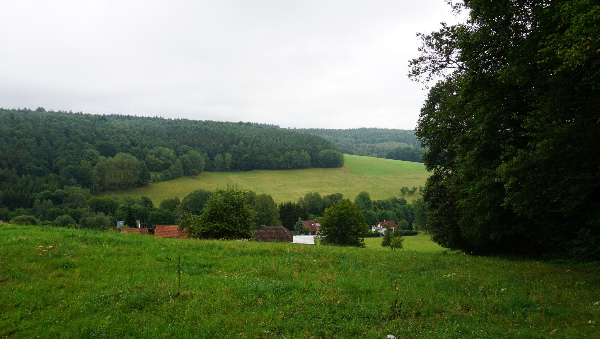 Odenwald Hills, Hesse, Germany - My, The photo, The hills, Summer, Germany, Lake, Landscape, Longpost