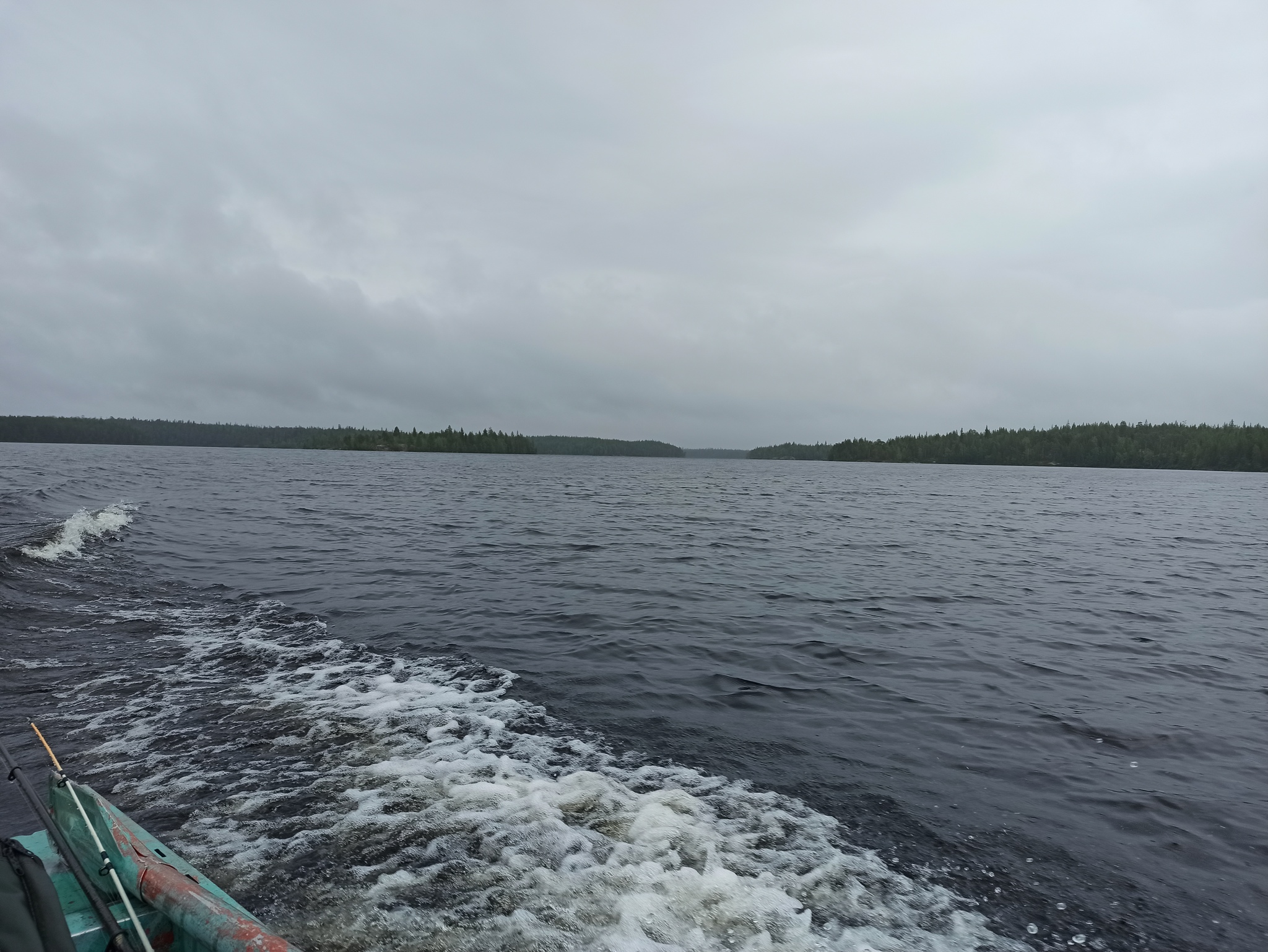 Fishing in Karelia 2021 - My, Карелия, Fishing, White Nights, Pike, Spinning, Video, Longpost