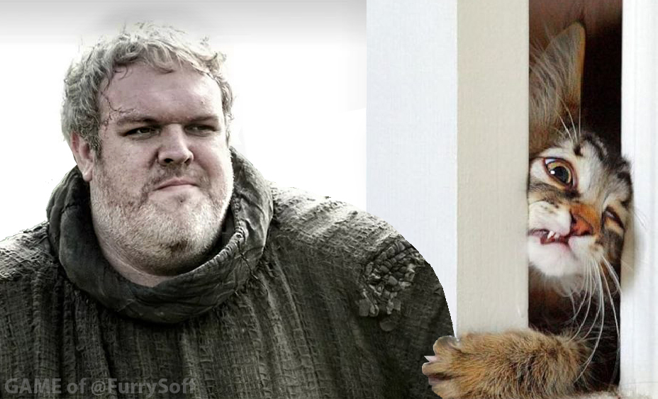 Don't hold the door! - My, Game of Thrones, Collage, cat, Photoshop master, Hodor, PLIO