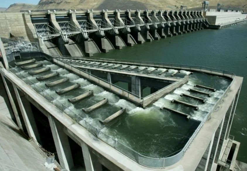 How do fish overcome hydroelectric obstacles - A fish, Fishing, Ecology, Dam, Hydroelectric power station, Stairs, Animal protection, A gun, , River, Dam, Longpost