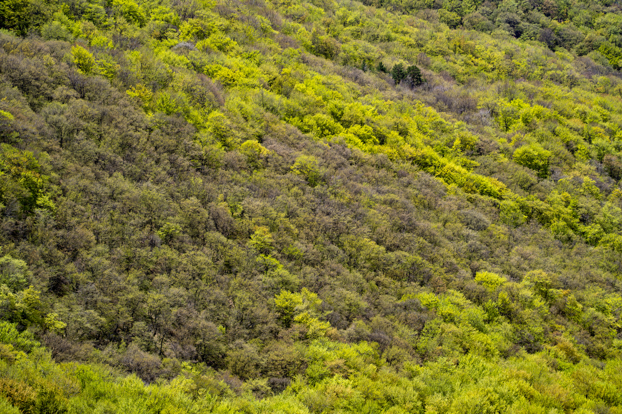 [May 2021] Crimea, Demerdzhi - My, Crimea, The mountains, Hiking, The photo, Beginning photographer, Longpost