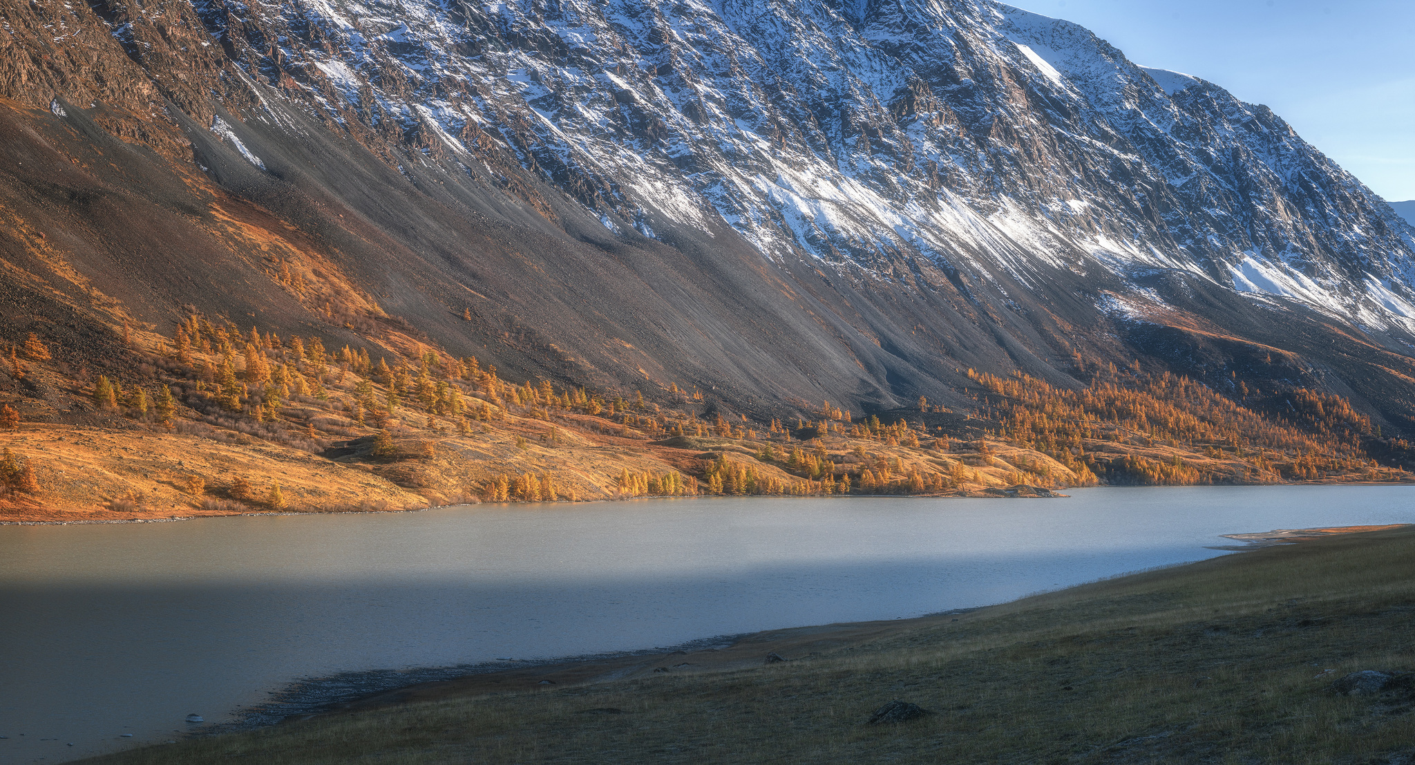 Larch trees on the shore of a mountain lake - My, Mountain Altai, Nature, beauty of nature, The nature of Russia, Video, The mountains, The photo, Landscape, Altai, , Tourism, Travels, Akkol, Altai Republic