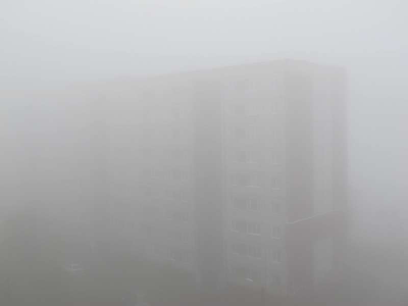 Meeting in the fog - My, Fog, Meeting, Hedgehog in the fog, Primorsky Krai