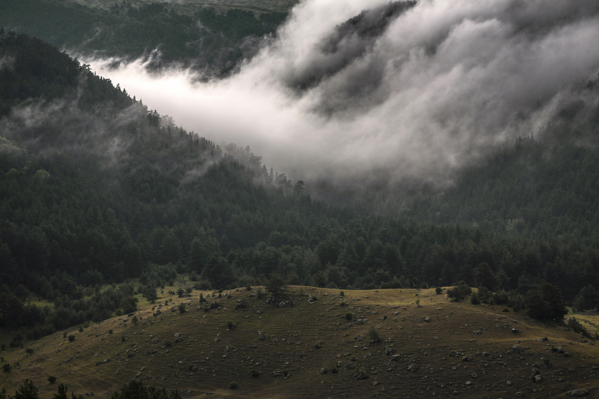 Cloudy evening on the route - My, The mountains, Forest, Fog, Clouds, Landscape, The photo, Nature, Mainly cloudy, , Hike, Canon 5D, Karachay-Cherkessia, Tourism, Mountain tourism