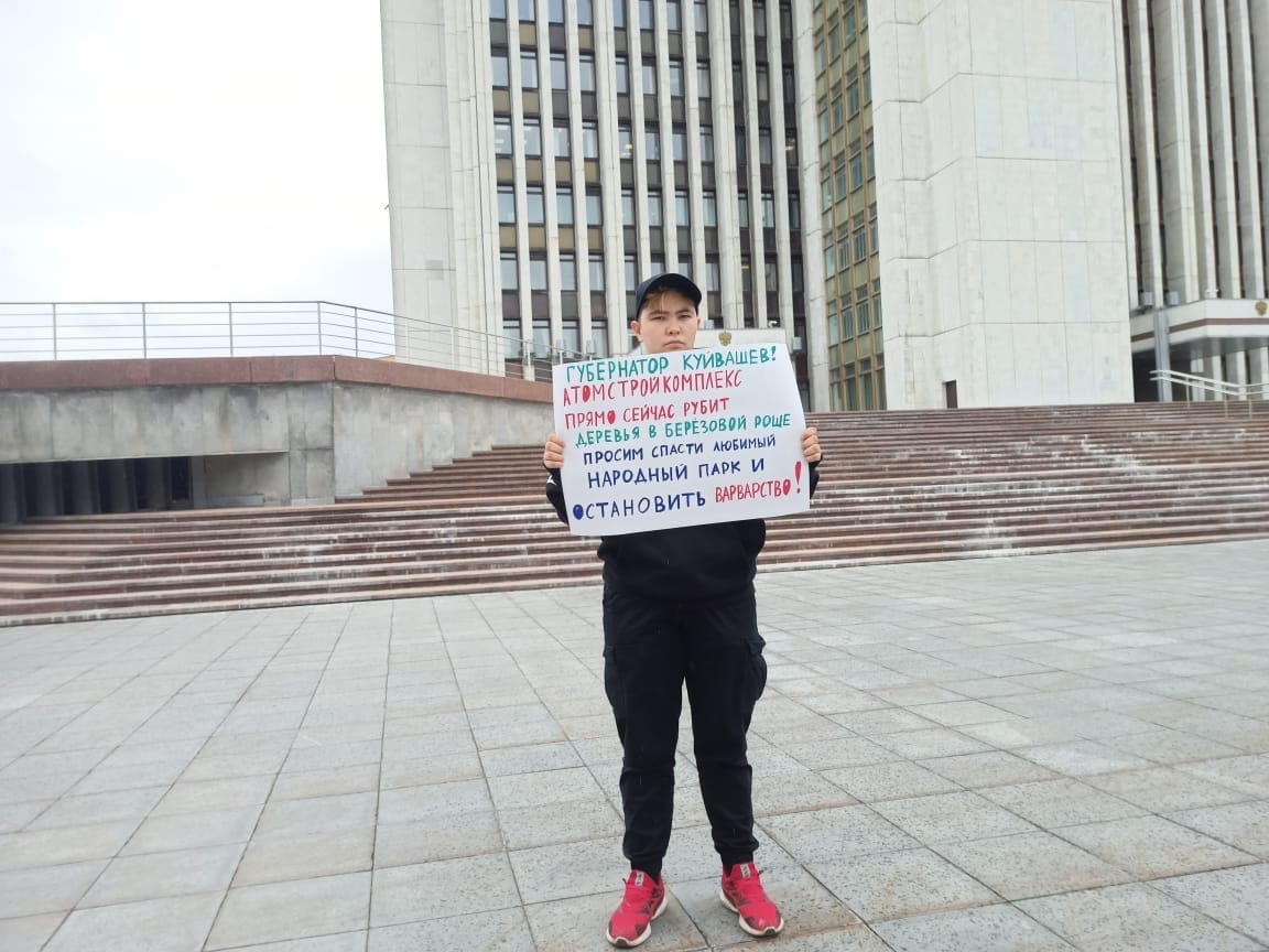 Residents of Yekaterinburg went on pickets demanding to stop the illegal logging of Birch Grove! - Ecology, Nature, , Yekaterinburg, Longpost, Negative, Birch