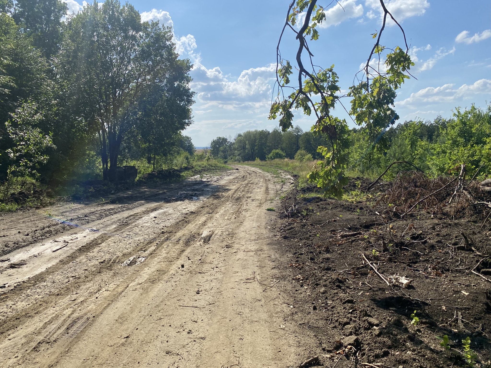 Response to the post “In Mordovia, a criminal case was opened against a man who made the road to the village for free” - My, Russia, Mordovia, Road, Officials, Court, Criminal case, Media and press, Society, Video, , Nature, Reply to post, Longpost