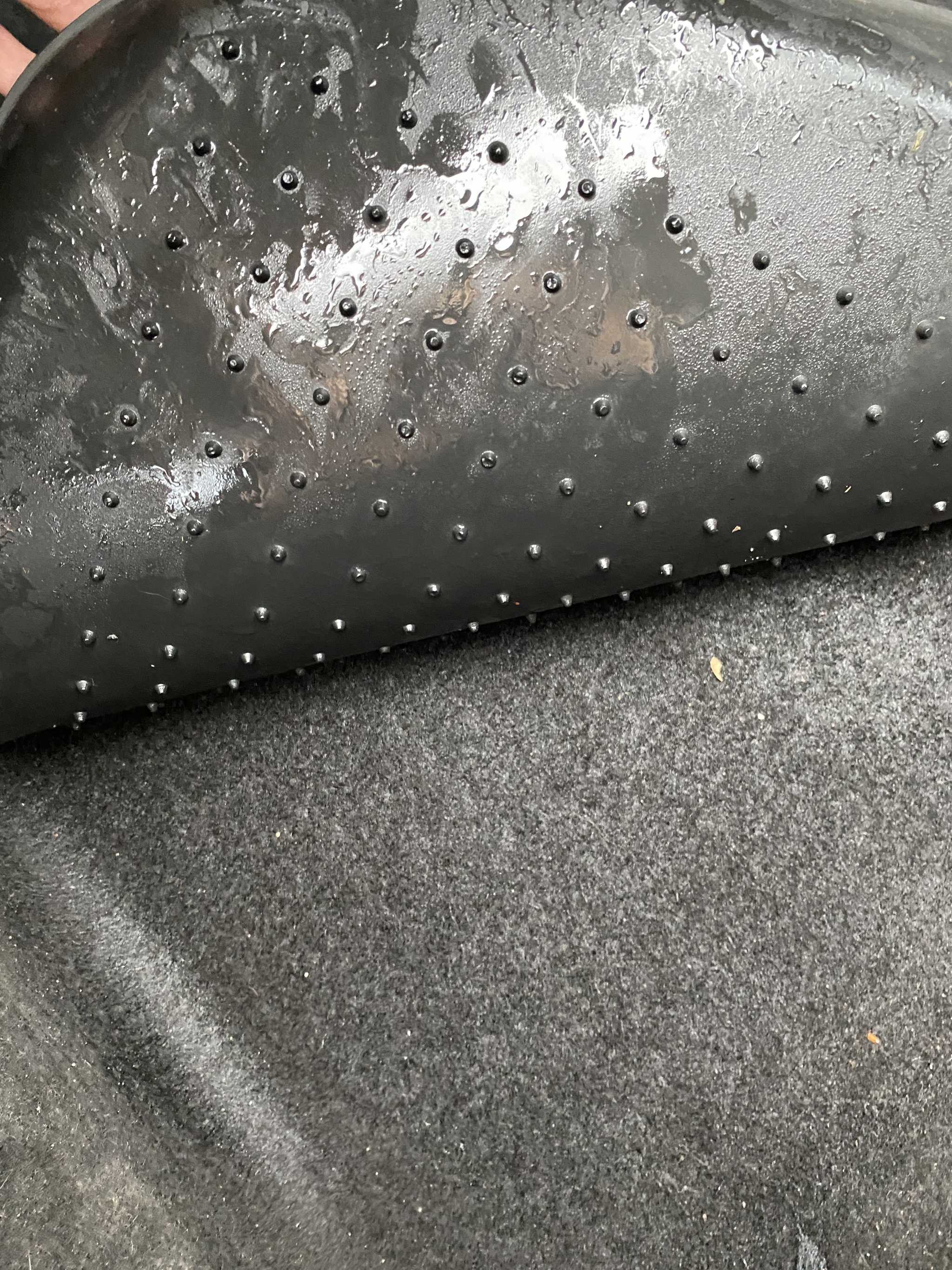 Wet front seat mat. - My, Mat, Water, Longpost, Auto