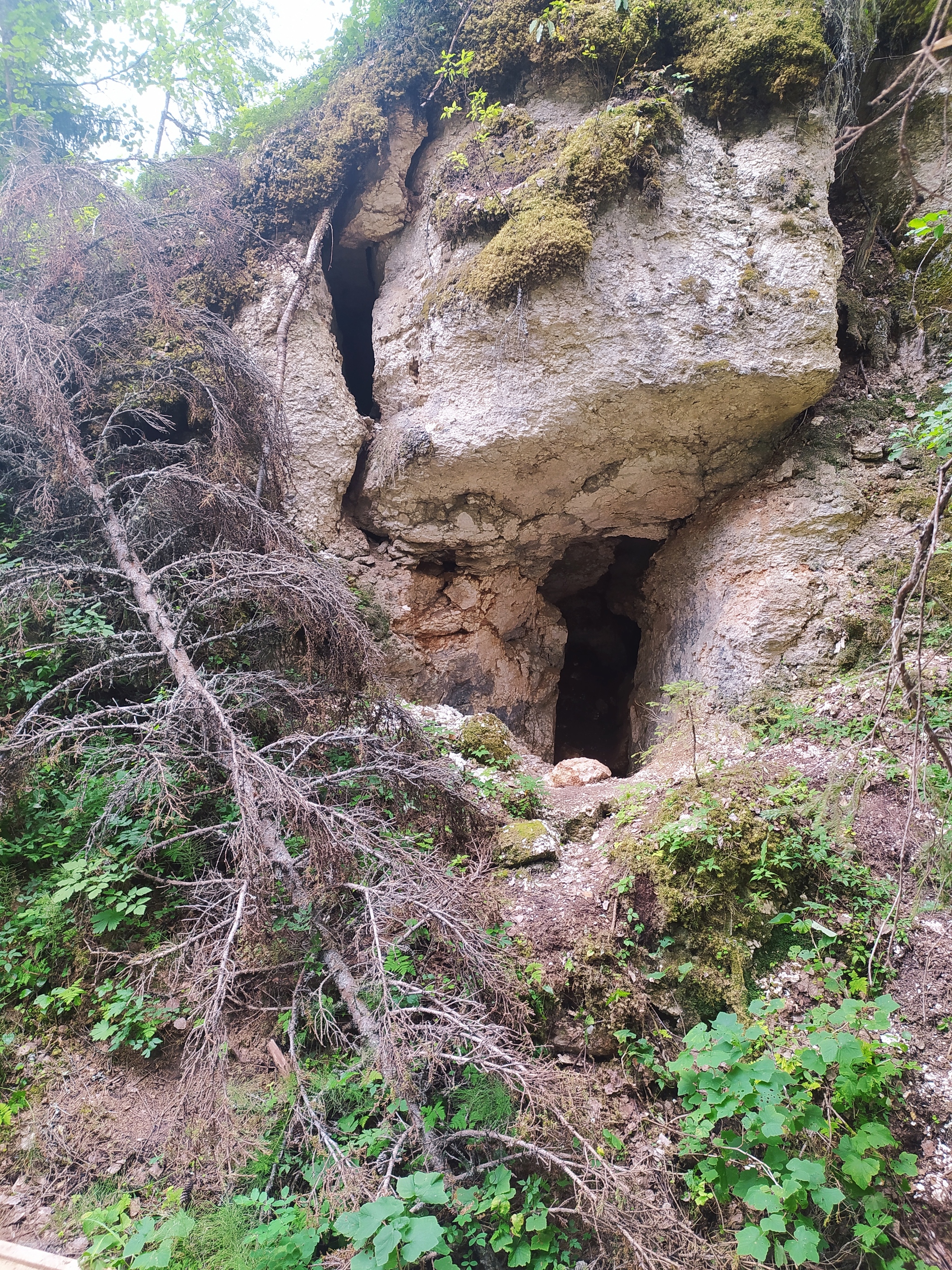 Waterfall Holy spring and karst cave in Golubino - My, Pinega, Arkhangelsk region, Caves, Waterfall, Nature, Travels, North, Holy spring, Longpost