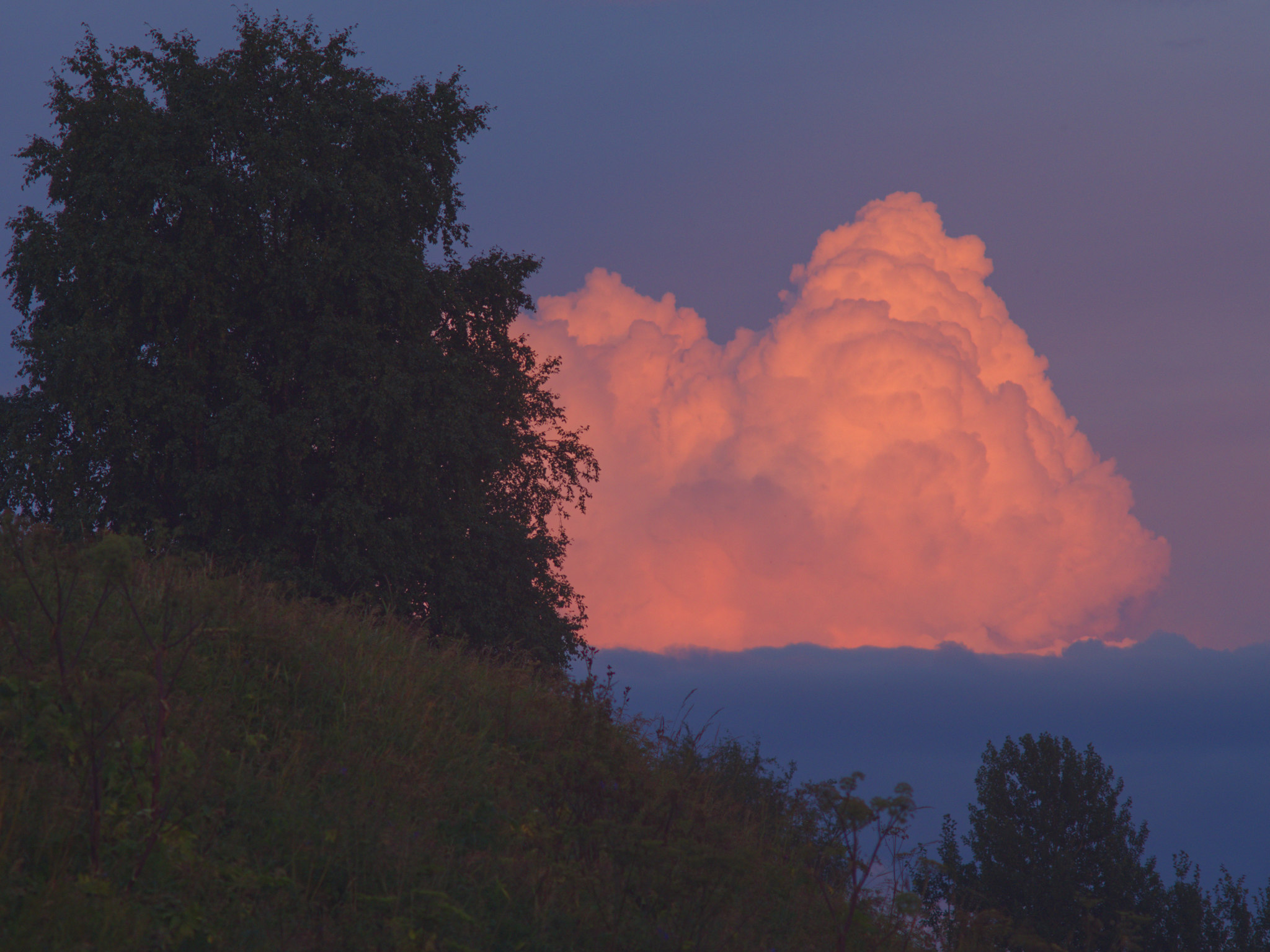 tree and cloud - My, Tree, Clouds, Atmosphere, Longpost