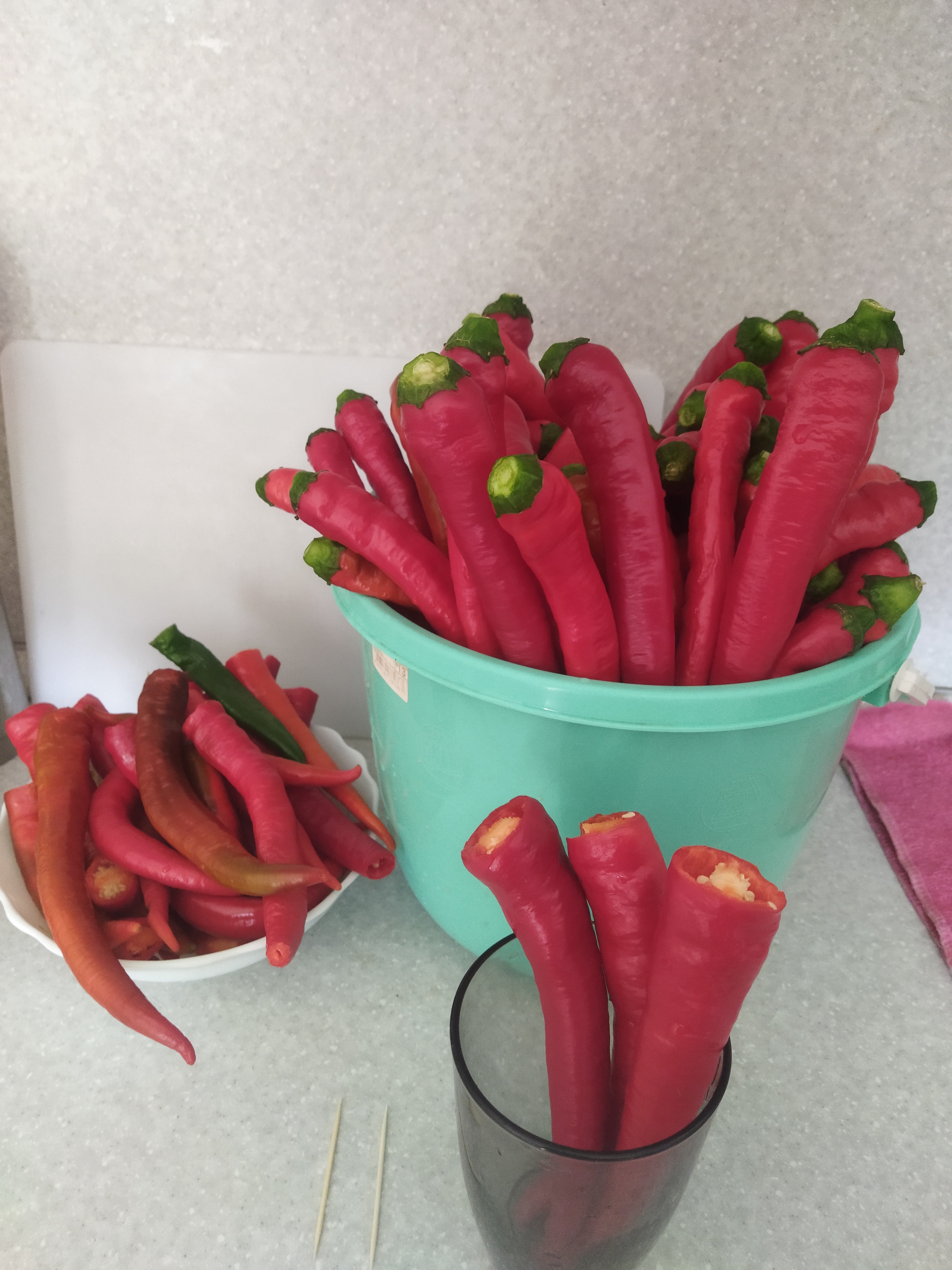 Pointy ears from a friend with eggplant and pepper - Pepper, Hot peppers, Eggplant, Ears, Yummy, Conservation, Video, Longpost, Recipe