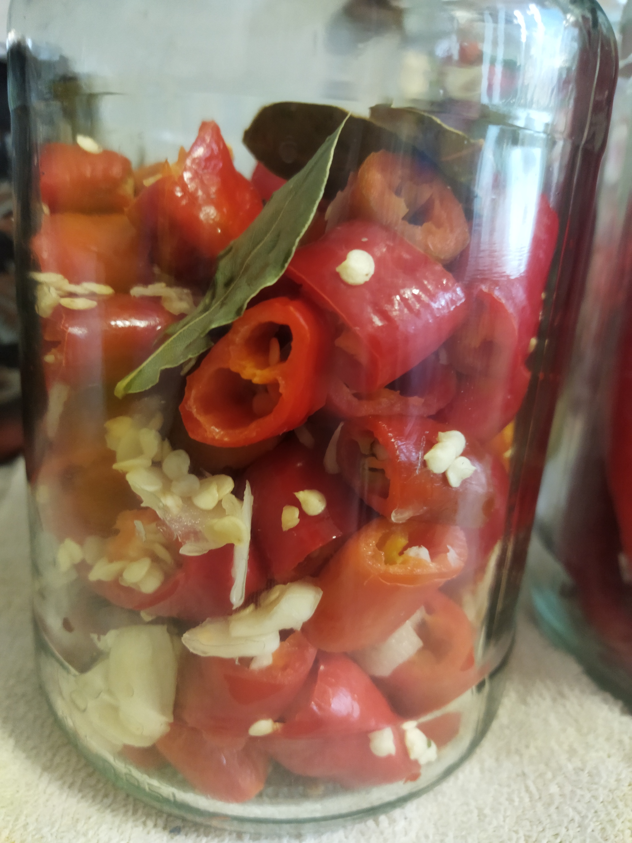 Pointy ears from a friend with eggplant and pepper - Pepper, Hot peppers, Eggplant, Ears, Yummy, Conservation, Video, Longpost, Recipe