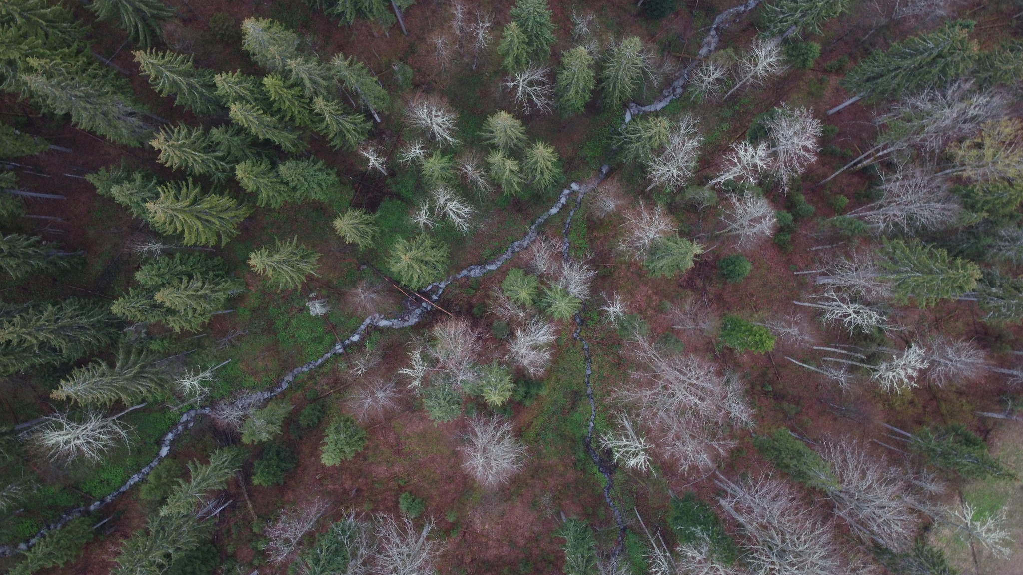 Carpathian landscapes - My, DJI Mavic, Carpathians, Bukovel, Longpost