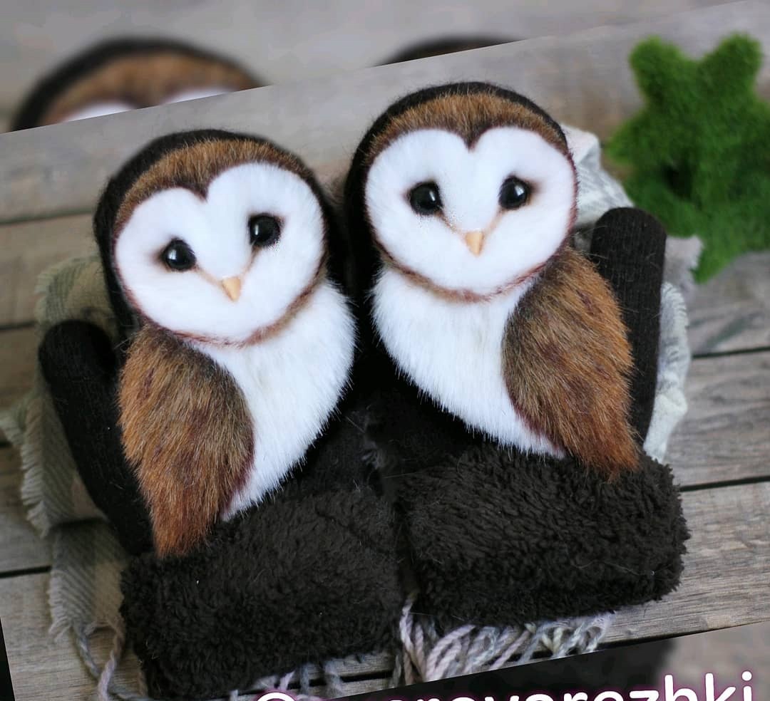 Mittens with owls - My, Owl, Handmade, Needlework without process, Mittens, Animal husbandry, Longpost