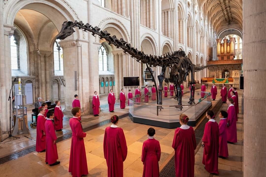 Replica of Dippy's diplodocus installed in Norwich Cathedral - The science, The cathedral, Paleontology, Dinosaurs, Great Britain