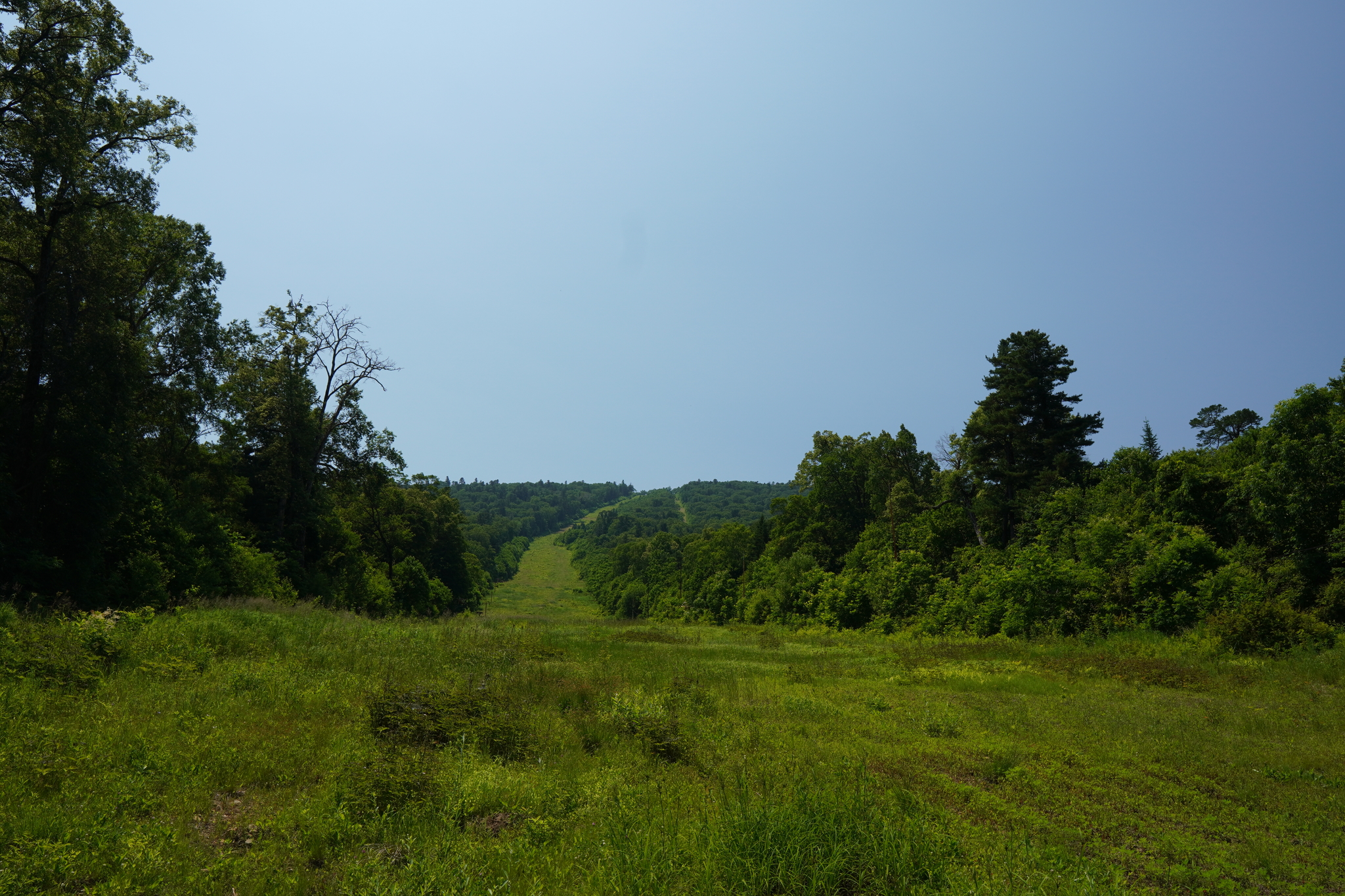 Hike to the spurs of the Sikhote-Alin with an ascent to the dominant peak of 609 meters in the village. Svetlogorye, Primorsky Krai. Part 1 - My, Дальний Восток, Russia, The mountains, Tropics, Bikin, Jungle, Dam, Forest, , Hike, Tourism, Nature, Taiga, Video, Longpost