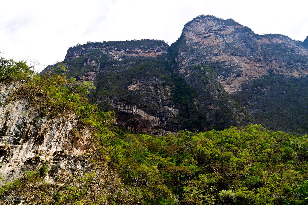 Sumidero - My, Mexico, Canyon, River, The rocks, Waterfall, Travels, Tourism, Pelican, , beauty, Longpost