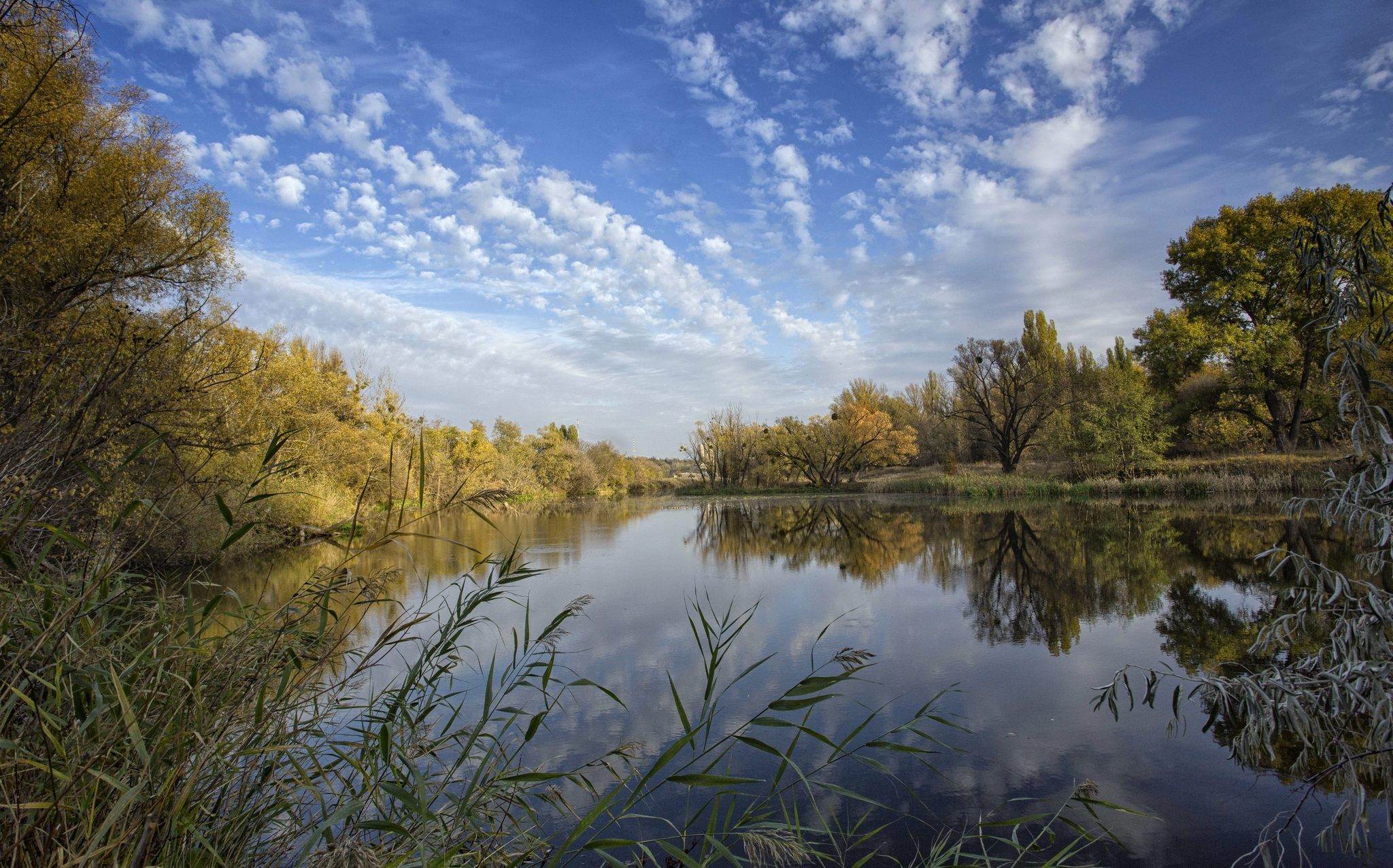 August is already breathing in September ... © - My, Nature, The photo, Landscape