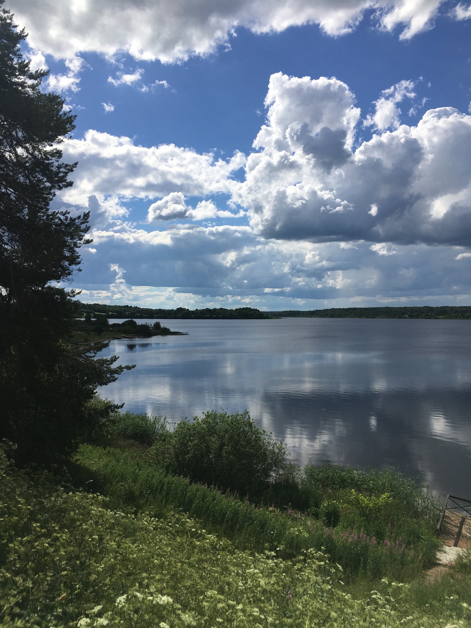 Природа - Юксовичи, Гоморовичи - Моё, Онежское озеро, Вепсский лес, Пейзаж, Длиннопост, Фотография