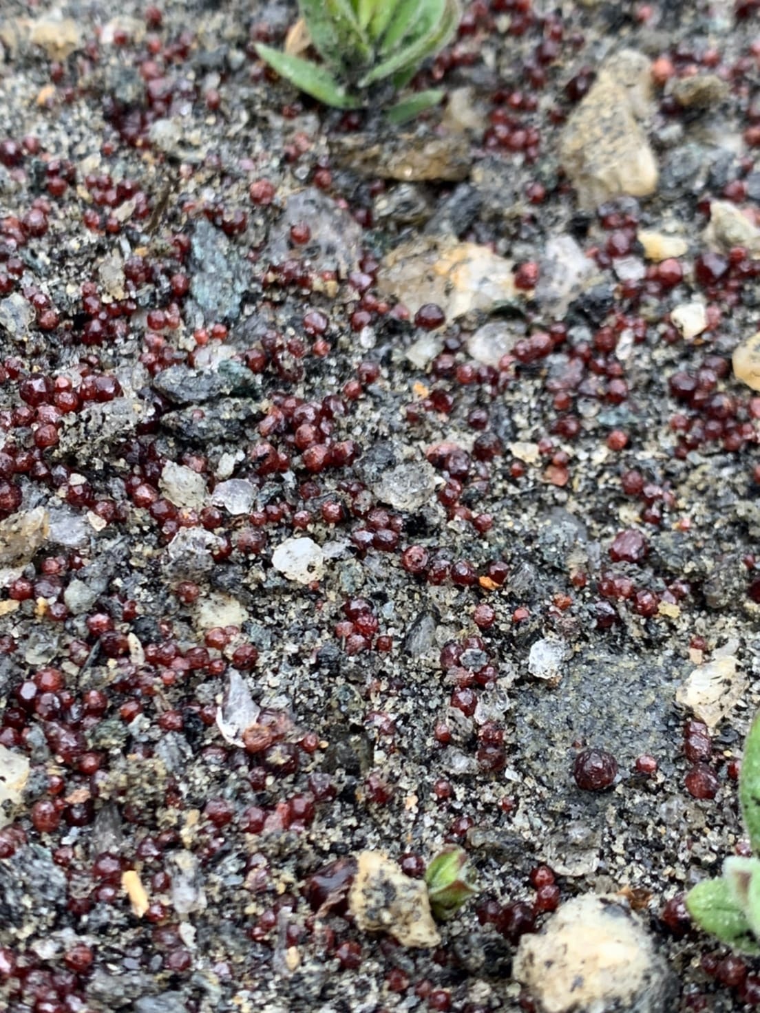 Garnet Pass - My, Eastern Sayans, Hiking, The mountains, Longpost, The photo, Garnet Pass