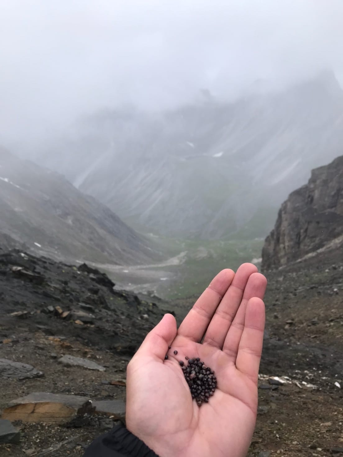 Garnet Pass - My, Eastern Sayans, Hiking, The mountains, Longpost, The photo, Garnet Pass