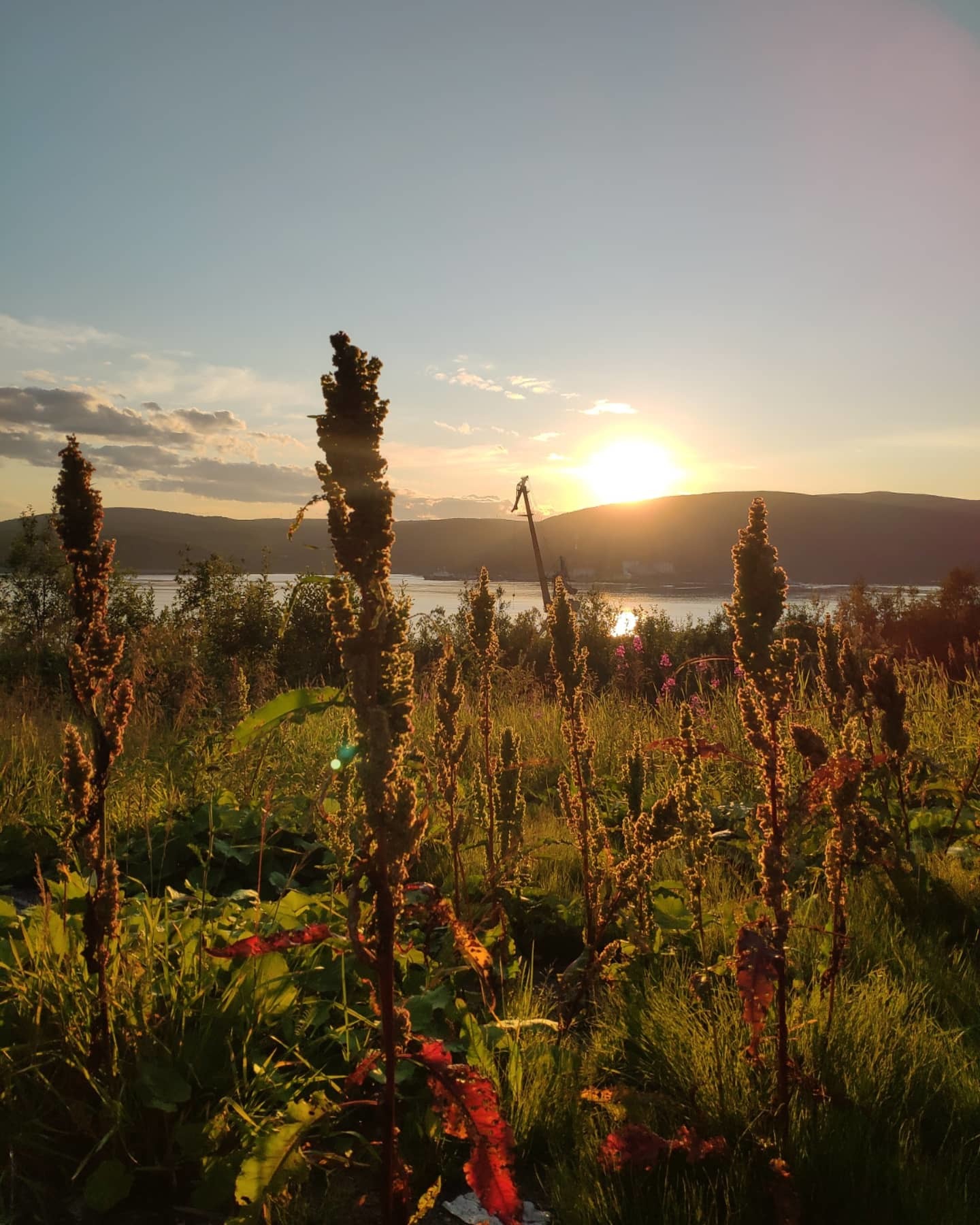 On the way home - My, Sunset, The bay, Murmansk, Blooming Sally, Longpost