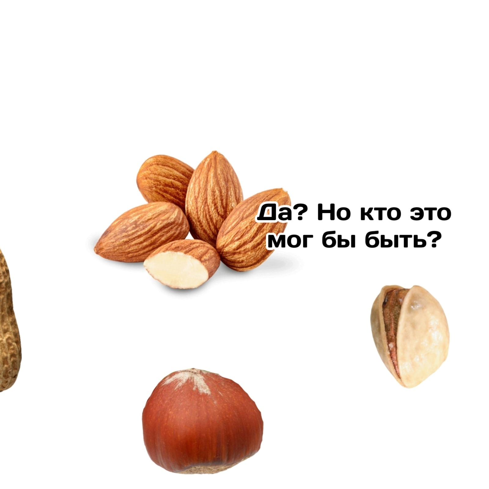 Nuts - Pavuchi comics Quasar, Comics, Nuts, Almond, Pistachios, Hazelnut, Peanut, Longpost