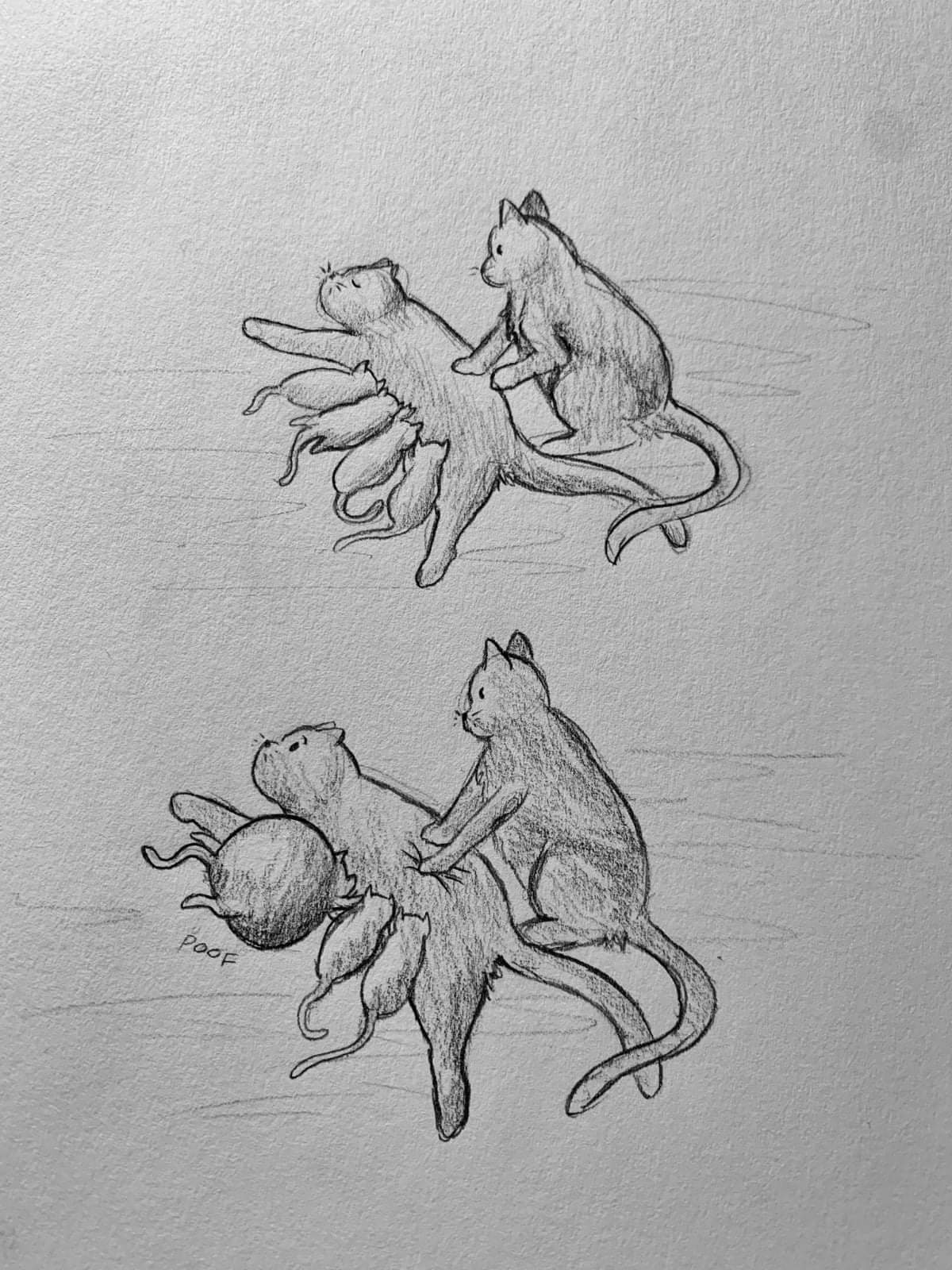 Beep - cat, Drawing, Kittens, Feeding