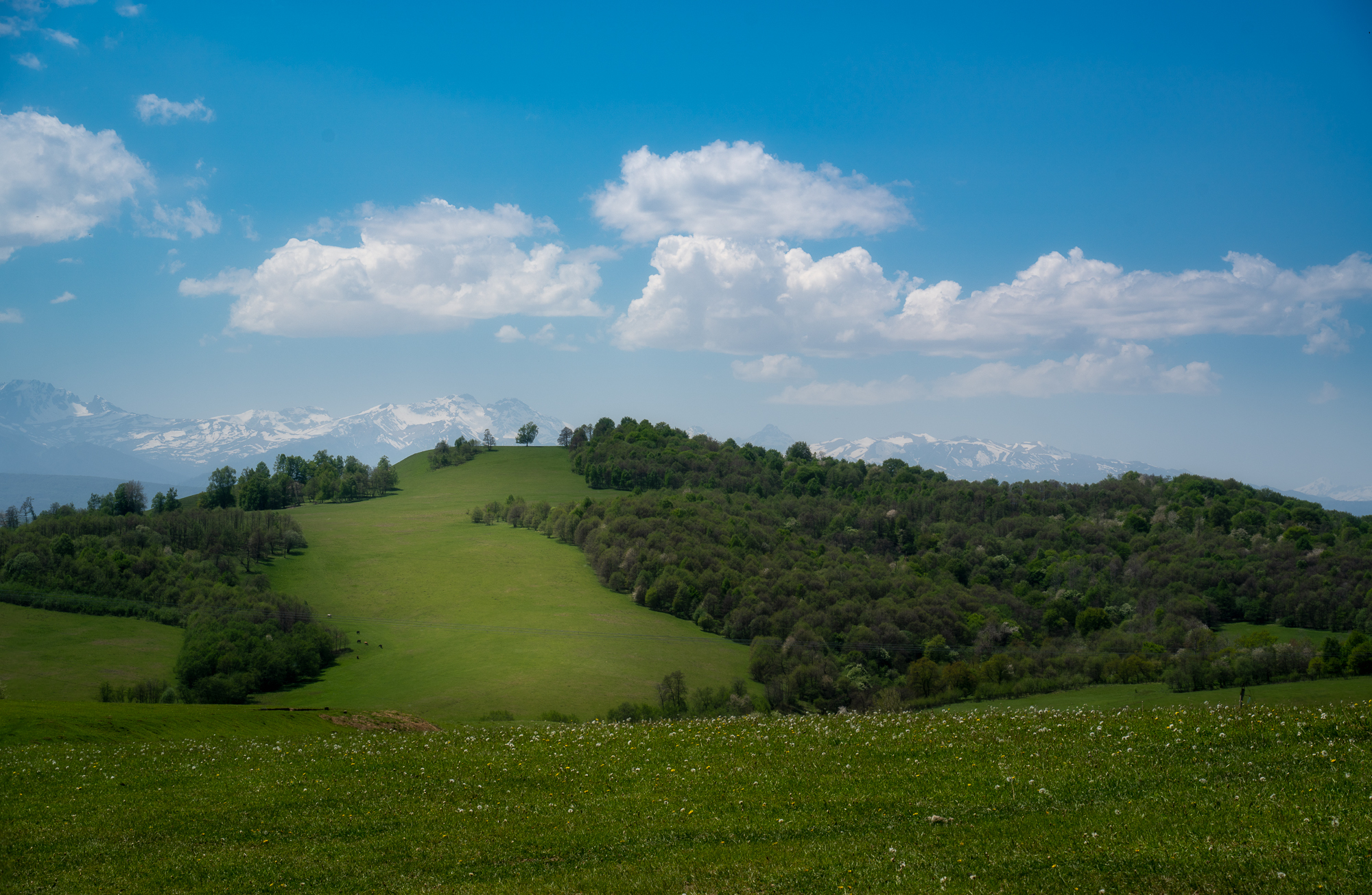 [May 2021] Baranakha, KChR - My, The mountains, Hiking, Caucasus, Karachay-Cherkessia, The photo, Beginning photographer, Longpost