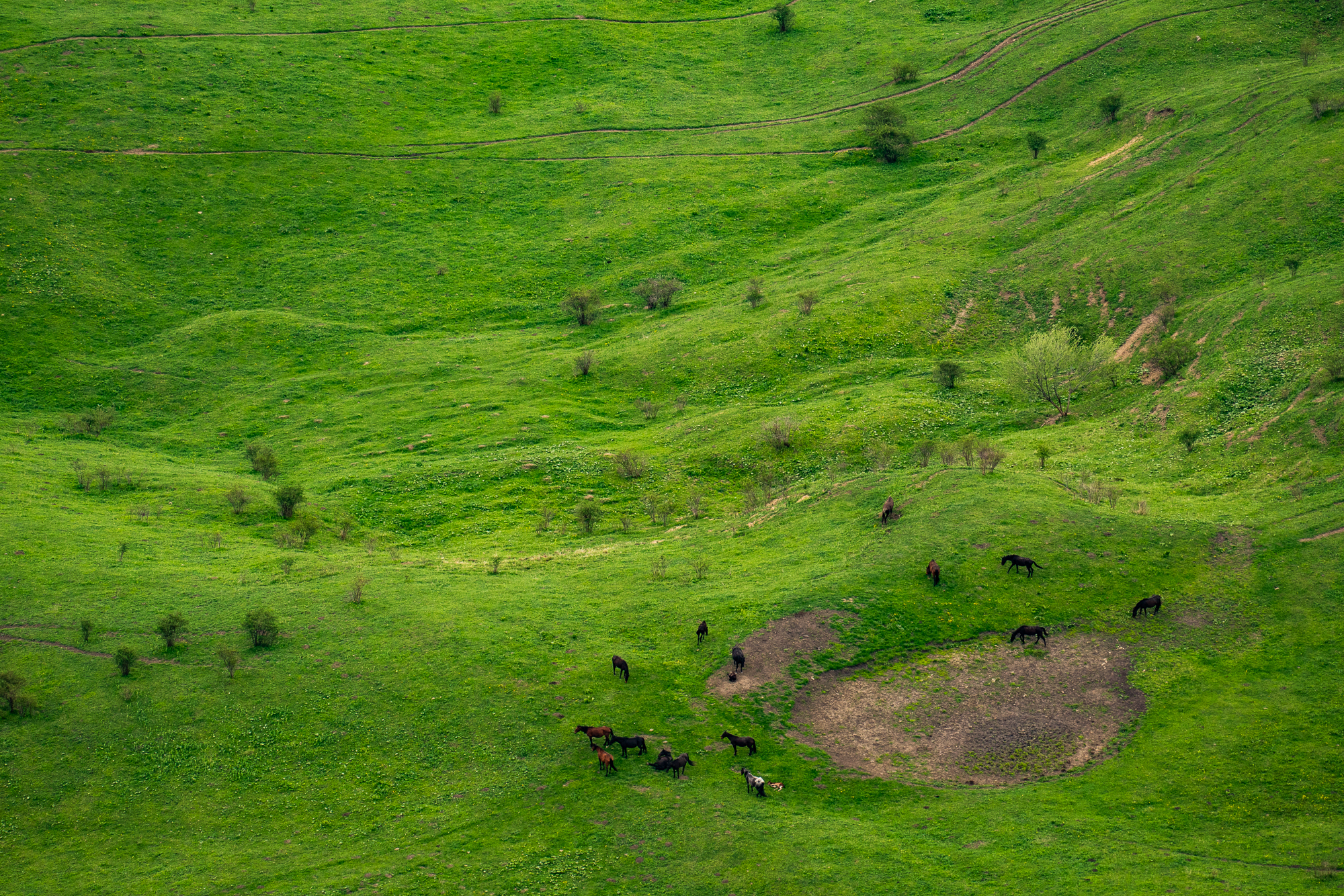 [May 2021] Baranakha, KChR - My, The mountains, Hiking, Caucasus, Karachay-Cherkessia, The photo, Beginning photographer, Longpost