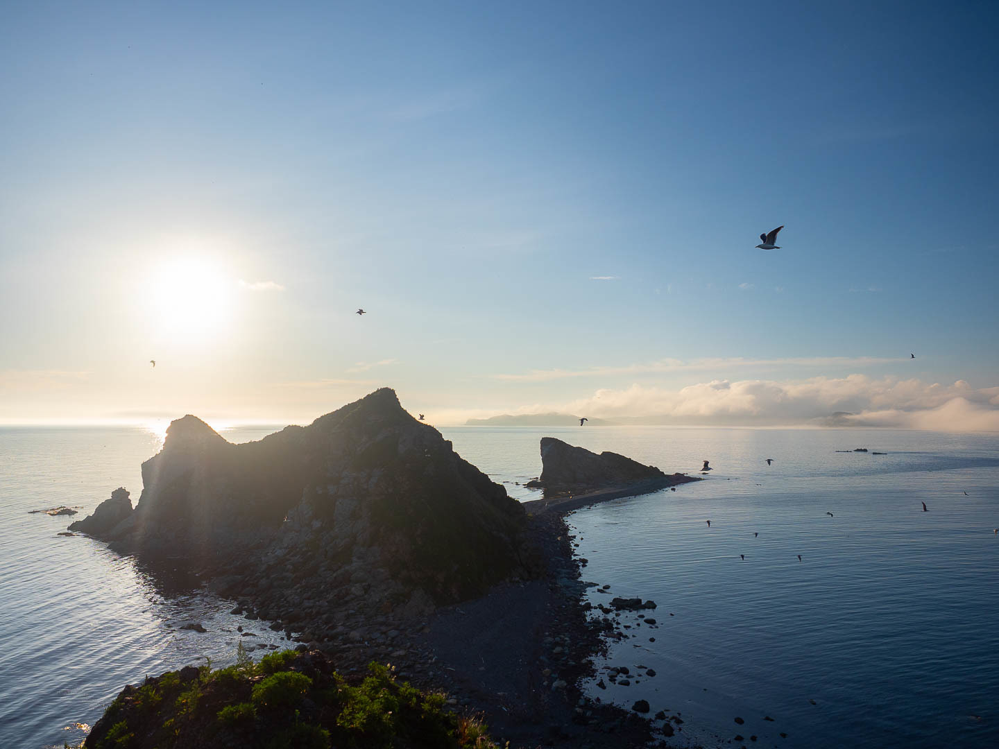 A few days on a desert island - My, Uninhabited island, Дальний Восток, Primorsky Krai, Sea, wildlife, Longpost