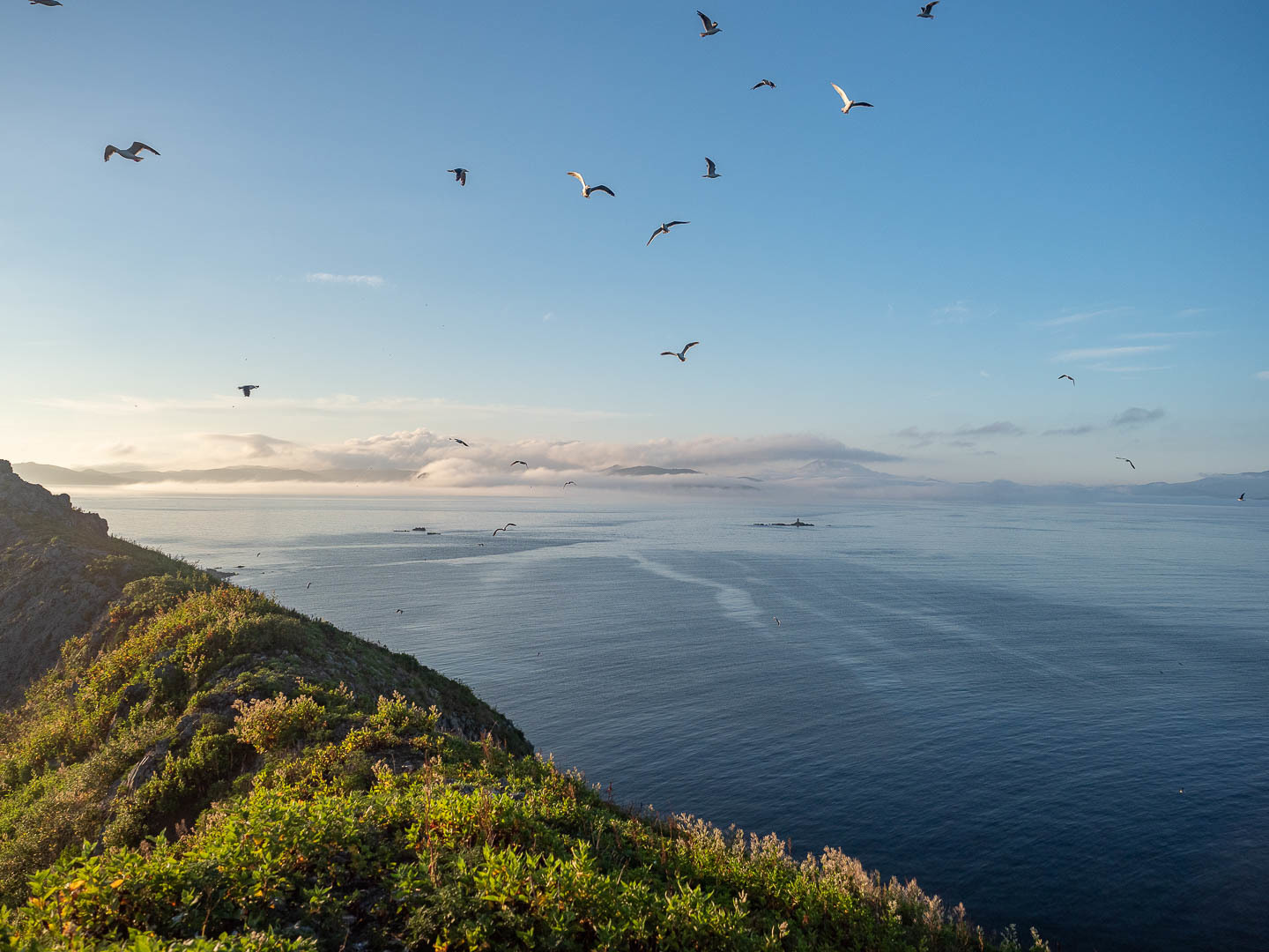 A few days on a desert island - My, Uninhabited island, Дальний Восток, Primorsky Krai, Sea, wildlife, Longpost