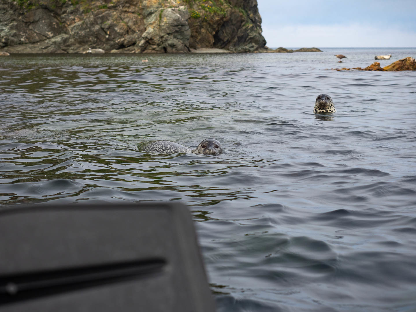 A few days on a desert island - My, Uninhabited island, Дальний Восток, Primorsky Krai, Sea, wildlife, Longpost