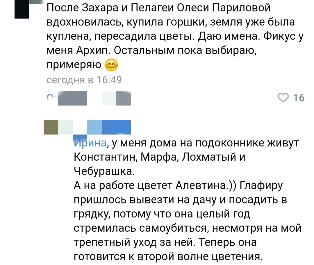 Как- то так 532... - Исследователи форумов, Как-То так, Обо всем, Скриншот, Подборка, Staruxa111, Длиннопост, Мат