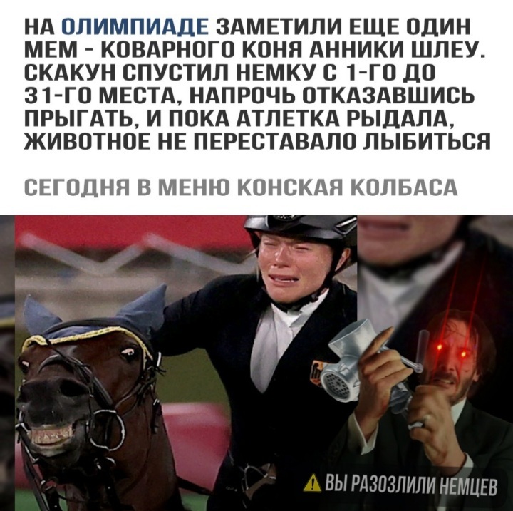 Rat school witcher's horse - Horses, Memes, Picture with text, Olympiad