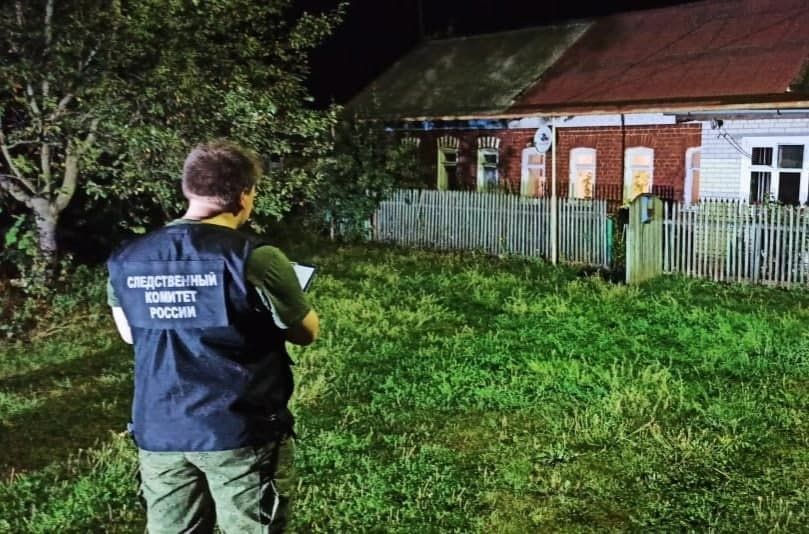 Near Tula, a drunken neighbor killed a two-year-old girl - Murder, Children, Alcohol, news, Neighbours, Tula, Negative, No rating, , The crime