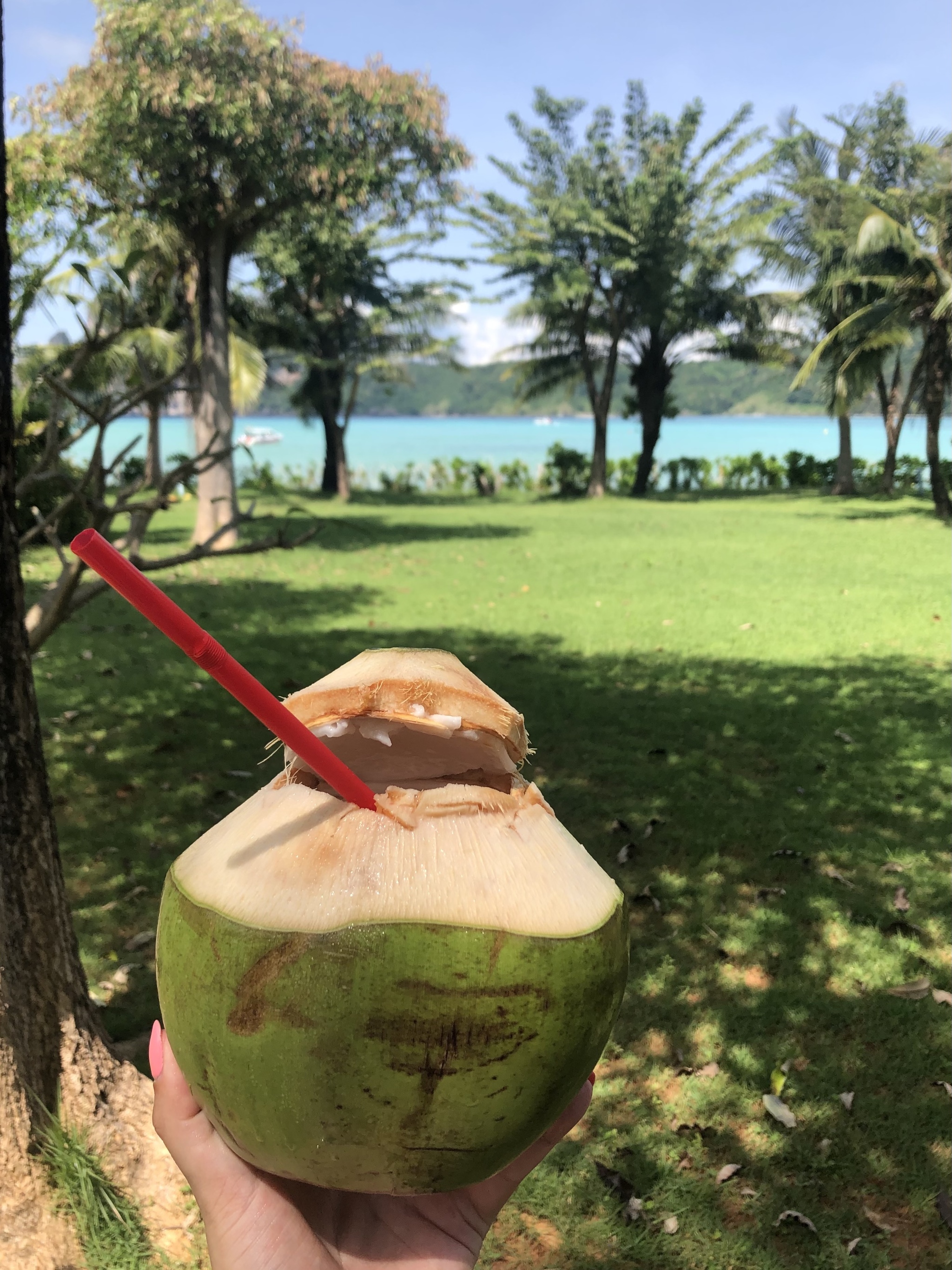 Best refreshing drink - My, Thailand, Koh Phi Phi, Coconut